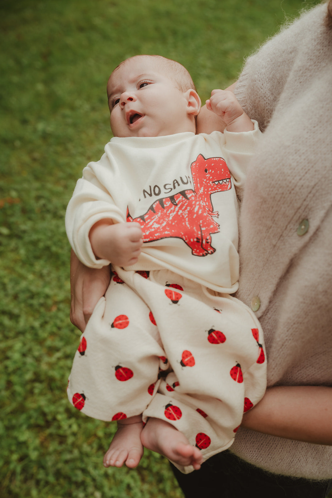 Little Dinosaur Pullover
