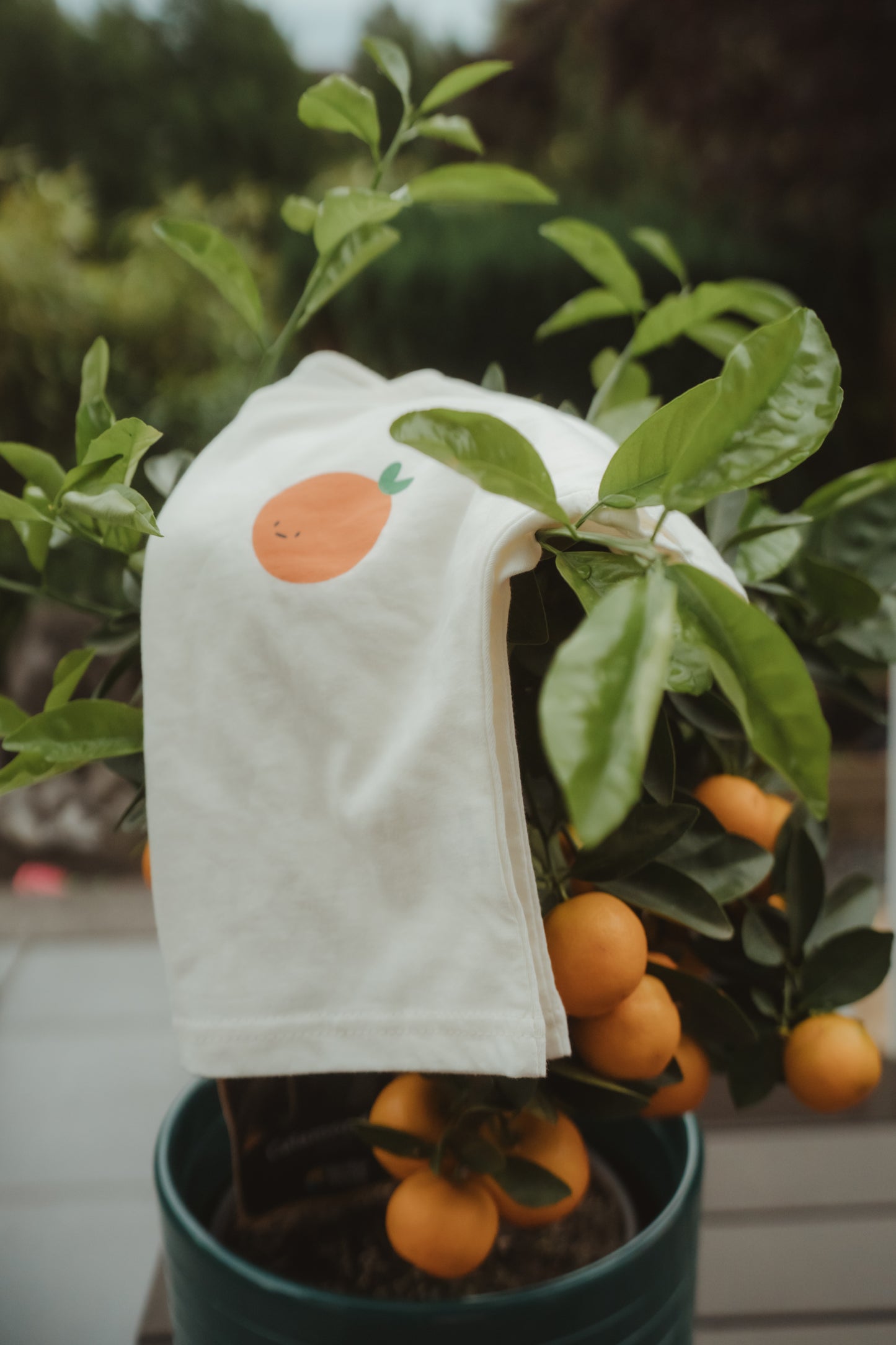 Orange Set T-Shirt & Bloomer