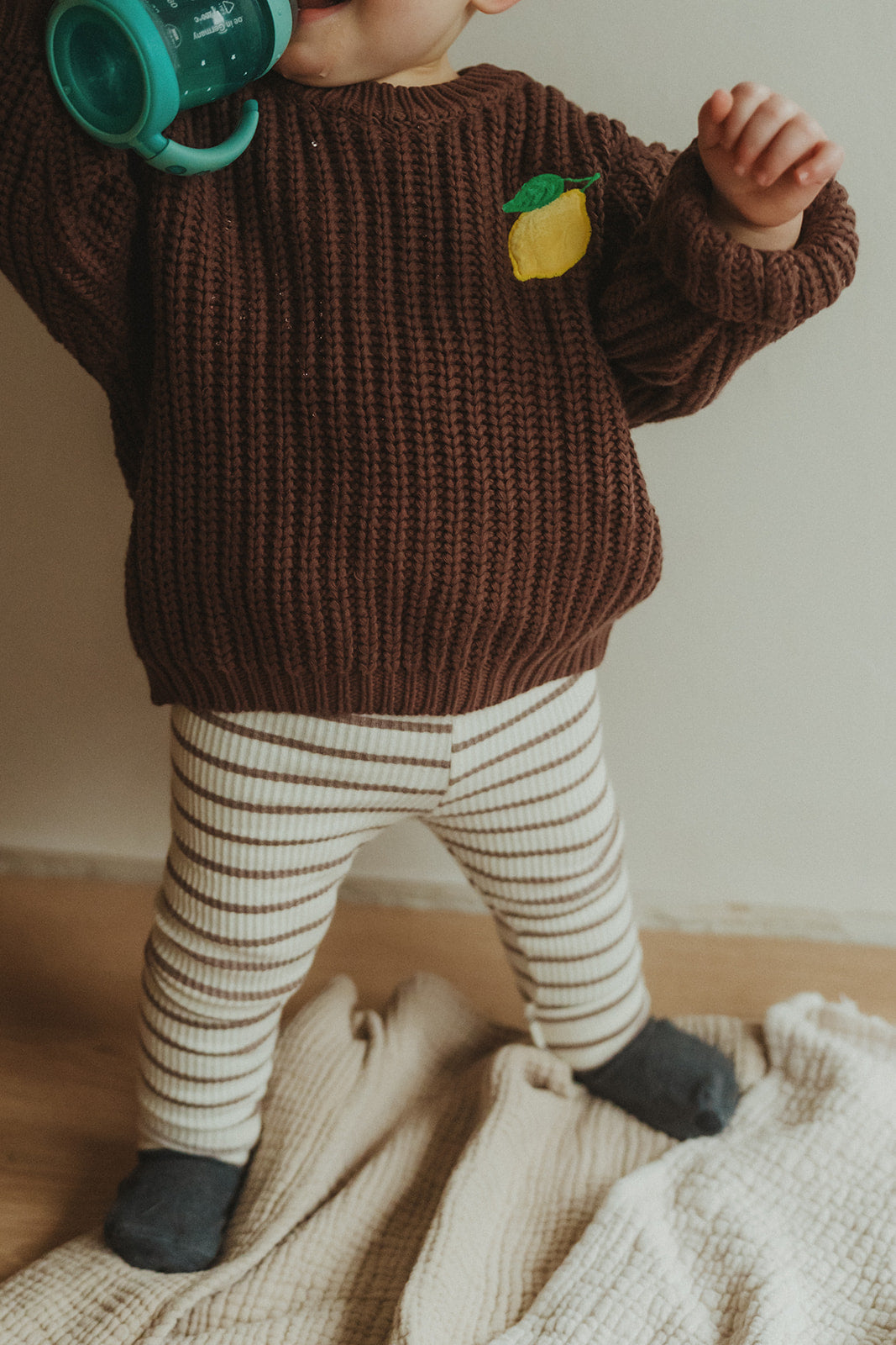 Chocolate Lemon Knit Pullover