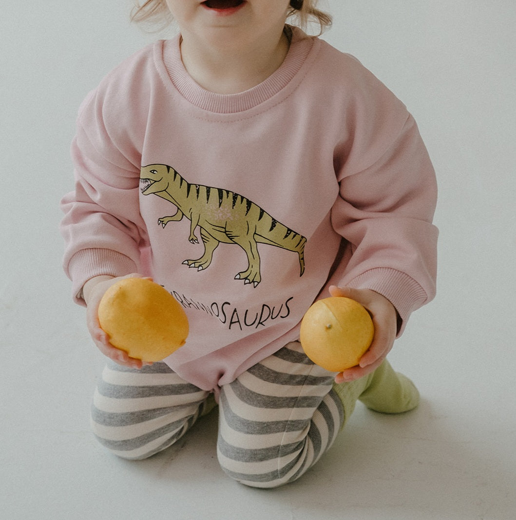 Dino Romper rose