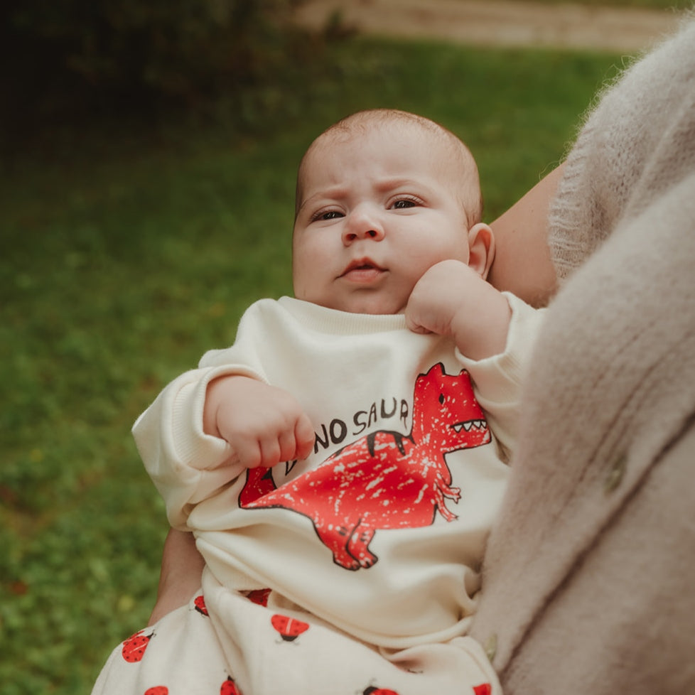 Little Dinosaur Pullover