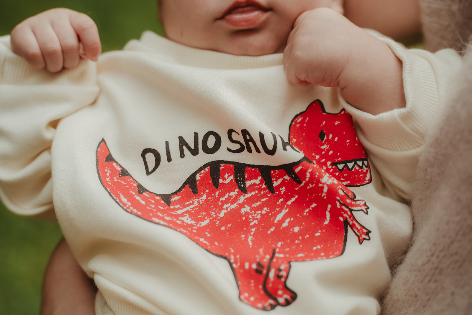 Little Dinosaur Pullover